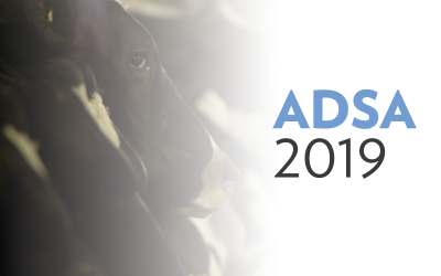 ADSA 2019