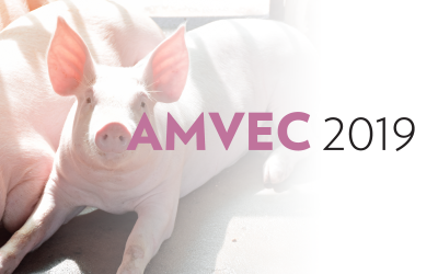 AMVEC 2019