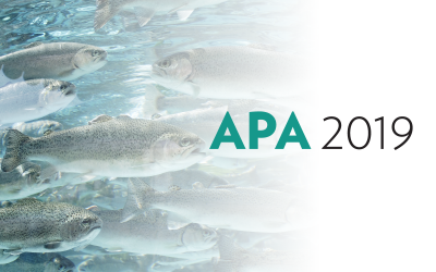 APA 2019