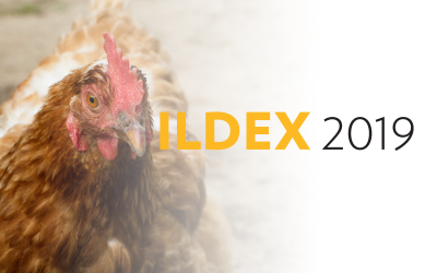 ILDEX 2019