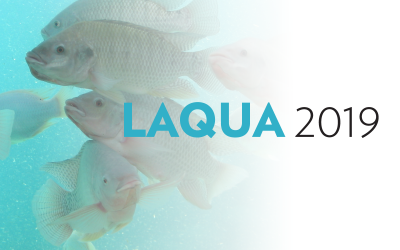 LAQUA 2019