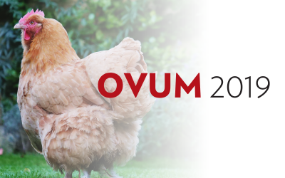 OVUM 2019