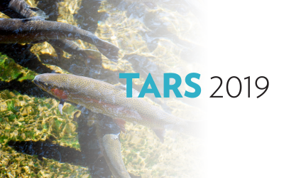 TARS 2019