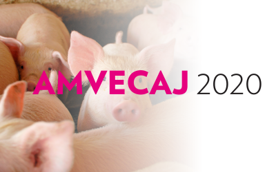 AMVECAJ 2020