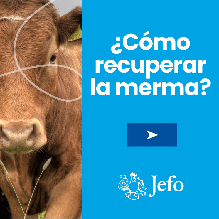 Como recuperar la merma