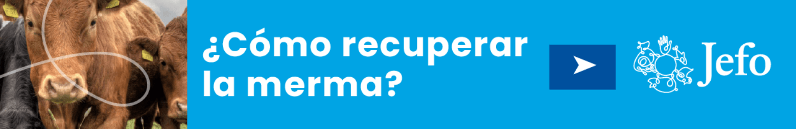 Como recuperar la merma