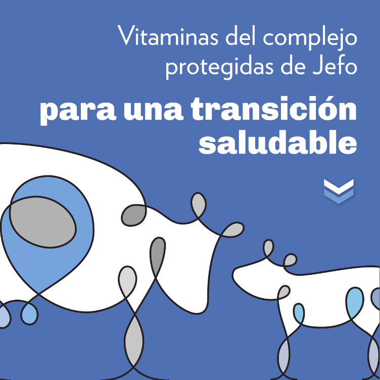 Vitaminas protegidas de Jefo para una transicion impecable