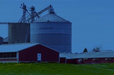 Navigating Spring Challenges in Livestock Farming with Jefo Solutions  
