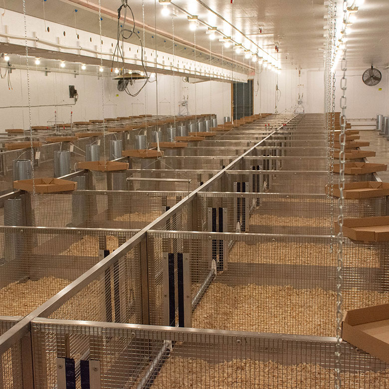 en_services_research_poultry