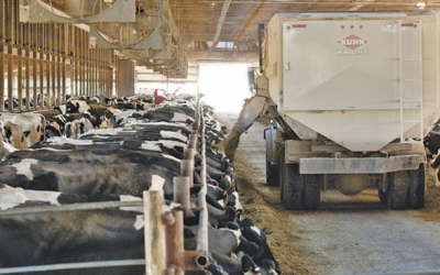 Waste and Stress From Feed Variation: Management Solutions to Reduce Economic Losses