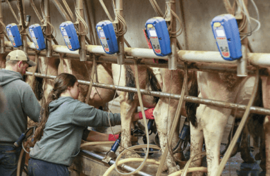 Criando e mantendo uma cultura forte nas produções agrícolas